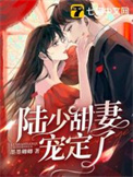 陆少甜妻有点撩免费阅读